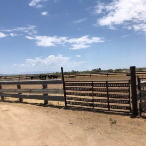 Under Contract!  Willcox Farm, House, Feed Pens and Meat Packing Plant