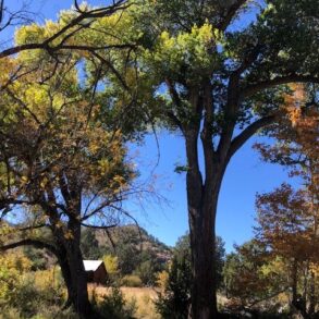 West Camp, Alamos, Deeded and Cabin
