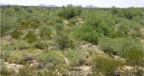 SOLD!- Arizona Desert Ranch