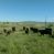 New! East Hunt Ranch