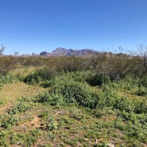 Range Picture with Saddle Mountain