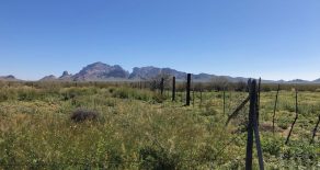 Sold!- Saddle Mountain Ranch