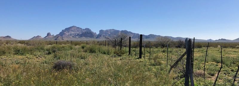 New!- Saddle Mountain Ranch