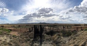 Sold! Cochise County Irrigated Cattle Operation