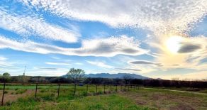 Sold!-Pasture Ranch St David AZ