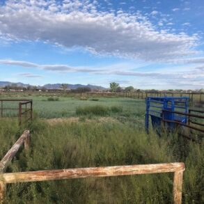 Sold!-Pasture Ranch St David AZ