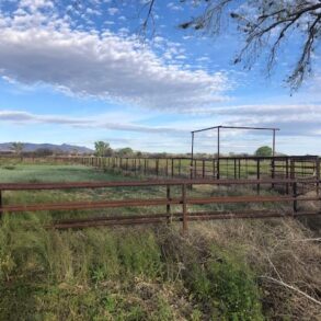 Sold!-Pasture Ranch St David AZ