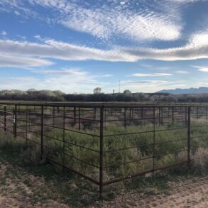 Sold!-Pasture Ranch St David AZ