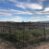 Sold!-Pasture Ranch St David AZ