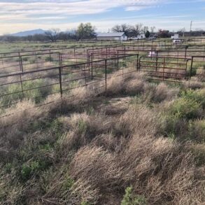 Sold!-Pasture Ranch St David AZ