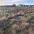 Sold!-Pasture Ranch St David AZ