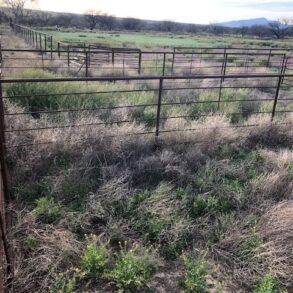 Sold!-Pasture Ranch St David AZ