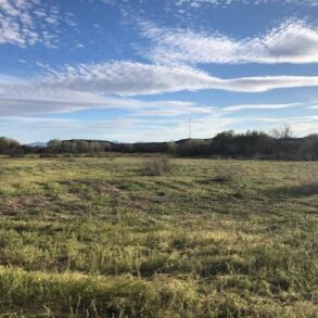 Sold!-Pasture Ranch St David AZ