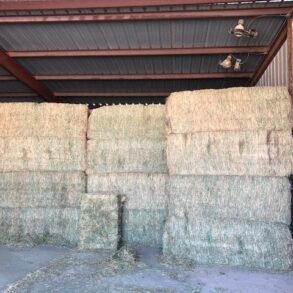 Sold- Willcox Farm, House, Feed Pens and Meat Packing Plant