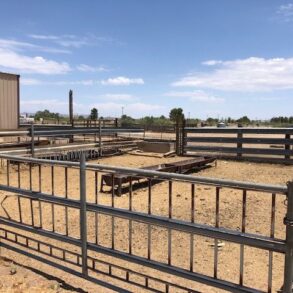 Sold- Willcox Farm, House, Feed Pens and Meat Packing Plant