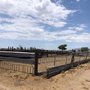 Sold- Willcox Farm, House, Feed Pens and Meat Packing Plant