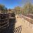 Sold- Sacaton Ranch