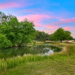 Bass Pond