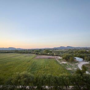 Field