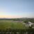 Field