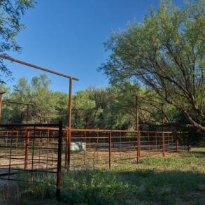 Feed Pens