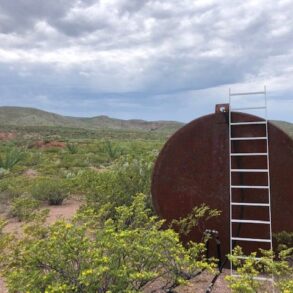 Waterline Tank