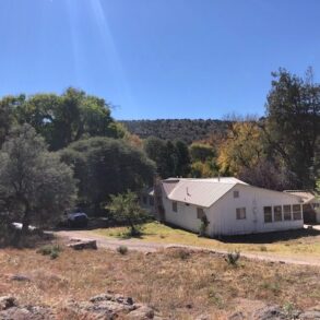 Main House and Trees