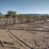 Typical Range