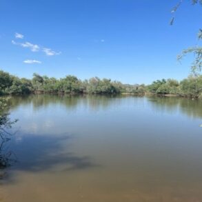 Mesquite Tank