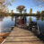 Dock with Kids