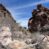 Back on the Market!- Wildhorse Mountain Ranch
