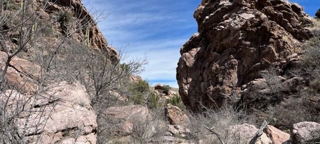 Back on the Market!- Wildhorse Mountain Ranch