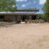 New! Irrigated Ranch Benson AZ