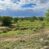 Under Contract!- Rancho Sin Agua