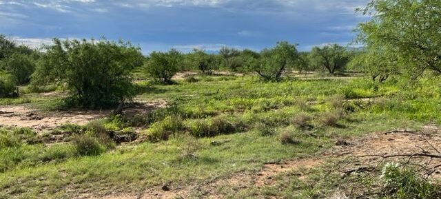 Under Contract!- Rancho Sin Agua
