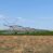 Reduced! Petrified Farms