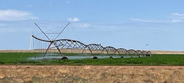 Reduced! Petrified Farms