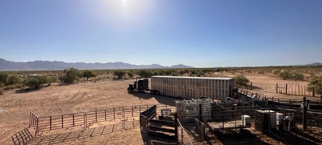 New Ranch Listing! Beloat Ranch