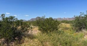New Listing! – Courthouse Ranch