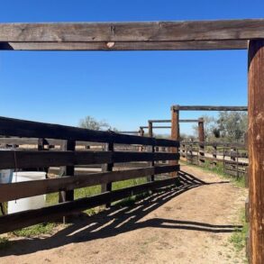 Main Corral Load Out