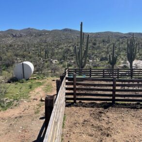 North Corrals Tank and Well