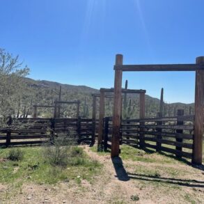 North Corrals