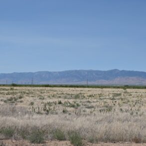 New Listing!- Old Fort Grant Road Fallow Farm