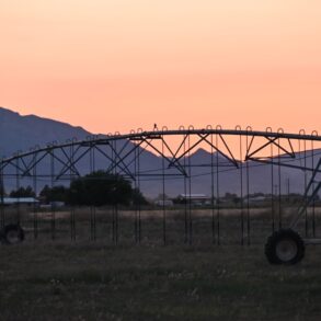 Sunset Pivot