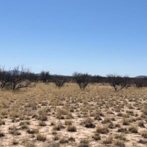 Typical Range