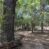 New Listing- Empirita Ranch