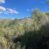 New Listing- Empirita Ranch