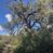 New Listing- Empirita Ranch