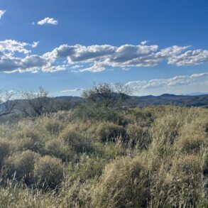 New Listing- Empirita Ranch