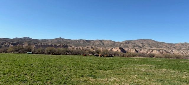 New Listing!- East Banderilla and Kelsey Canyon Ranch